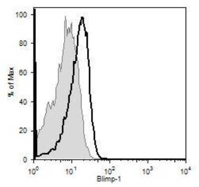 Flow Cytometry: BLIMP1/PRDM1 Antibody (3H2-E8) - Azide and BSA Free [NBP2-80597]