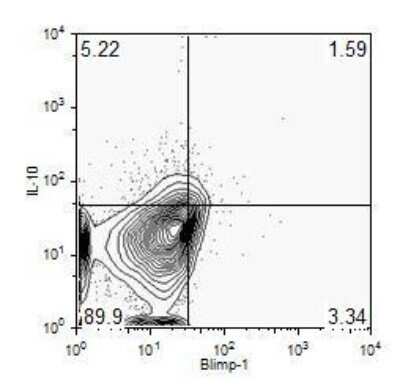 Flow Cytometry: BLIMP1/PRDM1 Antibody (3H2-E8) - Azide and BSA Free [NBP2-80597]