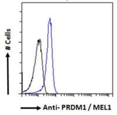 Flow Cytometry: BLIMP1/PRDM1 Antibody [NBP1-51991]