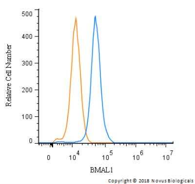 Flow Cytometry: BMAL1 Antibody [NB100-2288]