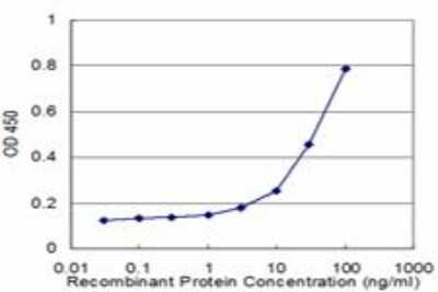 ELISA: BMPR-IB/ALK-6 Antibody (2E2) [H00000658-M07]