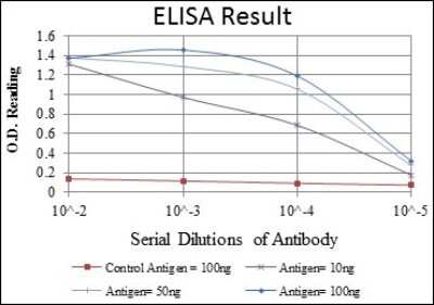 ELISA: BMPR-II Antibody (3F6) - BSA Free [NBP2-37624]