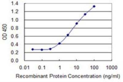 ELISA: BNC1 Antibody (1F4) [H00000646-M03]
