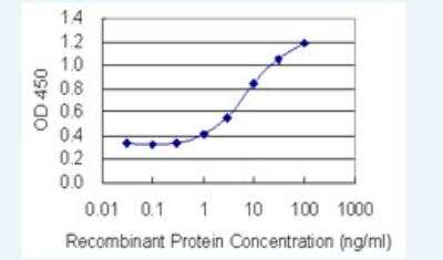 ELISA: BNIP2 Antibody (8C6) [H00000663-M02-100ug]