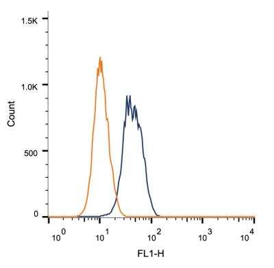 Flow Cytometry: BRCA1 Antibody (RAY) - BSA Free [NB100-598]