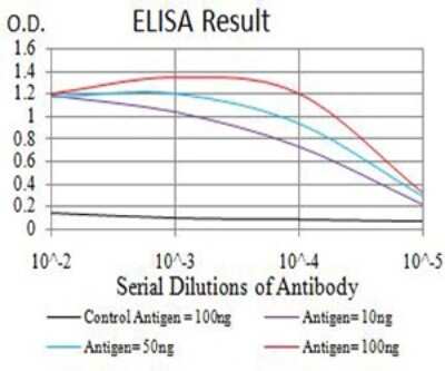 ELISA: BRD2 Antibody (7C1B10) - BSA Free [NBP2-61716]