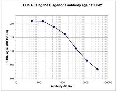 ELISA: BRD2 Antibody [NBP3-18662]