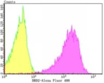 Flow Cytometry: BRD2 Antibody (JG40-42) [NBP2-75422]
