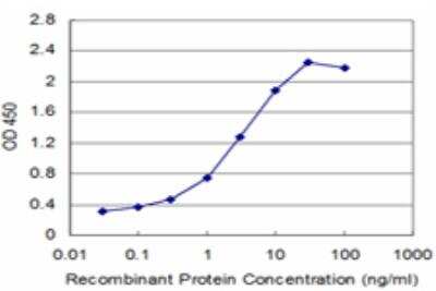 ELISA: BRM Antibody (2D12) [H00006595-M06]