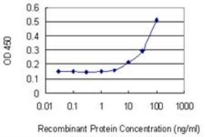 ELISA: BRN3A Antibody (7B4) [H00005457-M04]