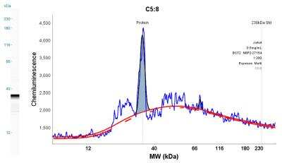 Simple Western: BST2 AntibodyAzide Free [NBP2-45265]