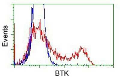 Flow Cytometry: BTK Antibody (OTI3A2) - Azide and BSA Free [NBP2-70291]