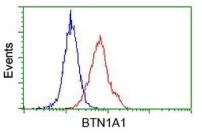 Flow Cytometry: BTN1A1/Butyrophilin Antibody (OTI7B5) - Azide and BSA Free [NBP2-70299]