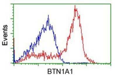 Flow Cytometry: BTN1A1/Butyrophilin Antibody (OTI7B5) - Azide and BSA Free [NBP2-70299]