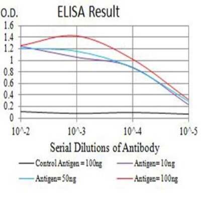 ELISA: BTN2A2/Butyrophilin 2 Antibody (4B11C8) - BSA Free [NBP2-61718]