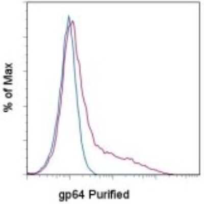 Flow Cytometry: Baculovirus Envelope gp64 protein Antibody (AcV1) - BSA Free [NBP2-00208]