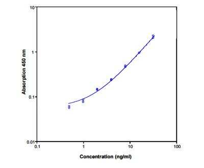 ELISA: Human Bcl-2 ELISA Kit (Colorimetric) [NBP1-91188]