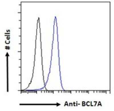Flow Cytometry: Bcl 7A Antibody [NB100-769]