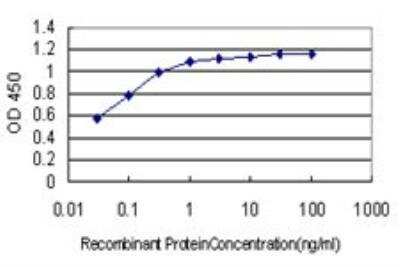 ELISA: Bcl-9 Antibody (2D4) [H00000607-M01]