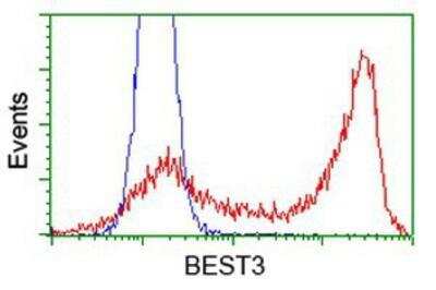 Flow Cytometry: Bestrophin 3 Antibody (OTI2H3) [NBP2-03253]