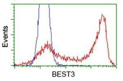 Flow Cytometry: Bestrophin 3 Antibody (OTI2H3) - Azide and BSA Free [NBP2-72407]