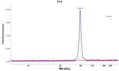 Simple Western: Beta Ig-h3/TGFBI Antibody [NBP1-88606]