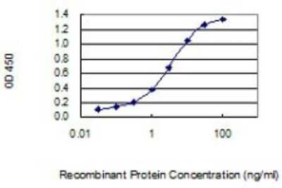 ELISA: Biglycan Antibody (4E1-1G7) [H00000633-M01]