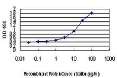 ELISA: Biliverdin Reductase B/BLVRB Antibody (2F4) [H00000645-M09]