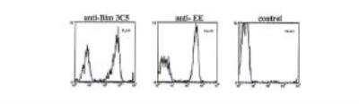 Flow Cytometry: Bim Antibody (3C5) - BSA Free [NBP2-80102]