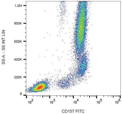 Flow Cytometry: Bone marrow stromal cell antigen 1/CD157 Antibody (SY11B5) - BSA Free [NBP2-37711]