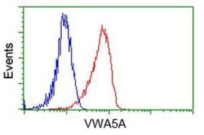 Flow Cytometry: Breast cancer suppressor candidate 1 Antibody (OTI3D6) - Azide and BSA Free [NBP2-71158]