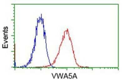 Flow Cytometry: Breast cancer suppressor candidate 1 Antibody (OTI3D6) - Azide and BSA Free [NBP2-71158]