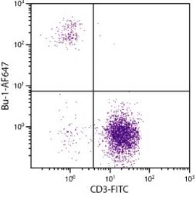 Flow Cytometry: Bu1 Antibody (AV20) - Azide and BSA Free [NBP1-28340]