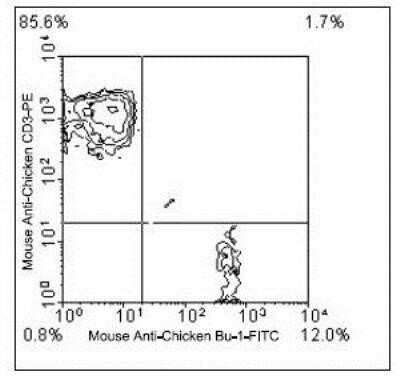 Flow Cytometry: Bu1 Antibody (AV20) - Azide and BSA Free [NBP1-28340]