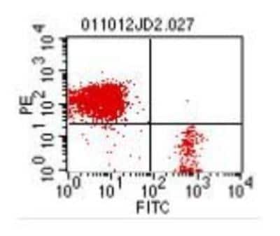 Flow Cytometry: Bu1 Antibody (AV20) - Azide and BSA Free [NBP1-28340]