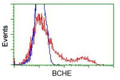 Flow Cytometry: Butyrylcholinesterase/BCHE Antibody (OTI1E1) [NBP2-03523]