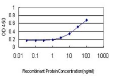 ELISA: C1GALT1 Antibody (1F1) [H00056913-M01]