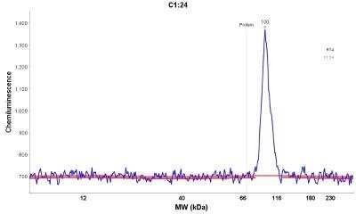 Simple Western: INAVA Antibody [NBP1-90424]
