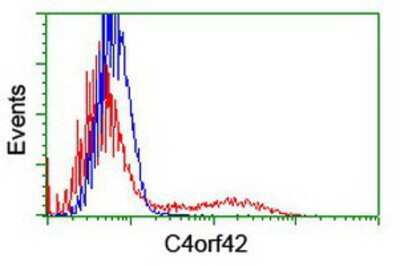 Flow Cytometry: CTBP1-DT Antibody (OTI2C6) [NBP2-01174]