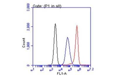 Flow Cytometry: CA19-9/Sialyl Lewis A Antibody (GT174) [NBP3-13649]