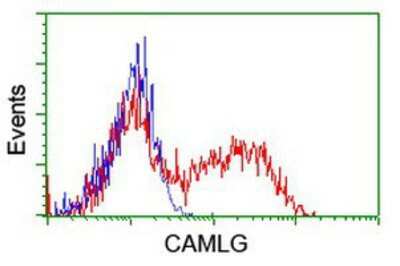 Flow Cytometry: CAMLG Antibody (OTI1A3) [NBP2-01801]