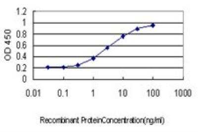 ELISA: CCL14/HCC-1/HCC-3 Antibody (1F12) [H00006358-M01]