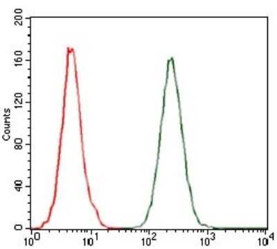 Flow Cytometry: CCL2/MCP1 Antibody (2D8) - Azide and BSA Free [NBP2-80618]