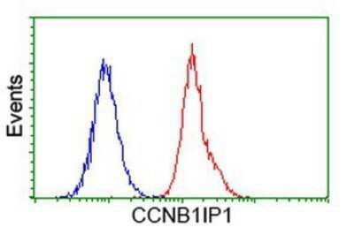 Flow Cytometry: CCNB1IP1 Antibody (OTI4H3) - Azide and BSA Free [NBP2-72106]