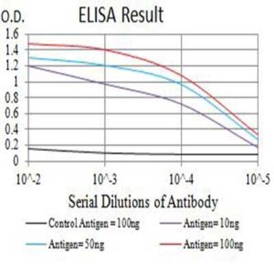 ELISA: CCR1 Antibody (8E10G6) - BSA Free [NBP2-61697]