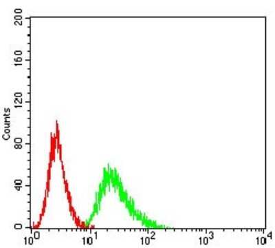 Flow Cytometry: CCR1 Antibody (8E10G6) - BSA Free [NBP2-61697]