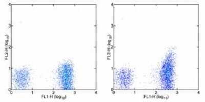 Flow Cytometry: CCR5 Antibody (T21/8) - BSA Free [NBP1-43335]