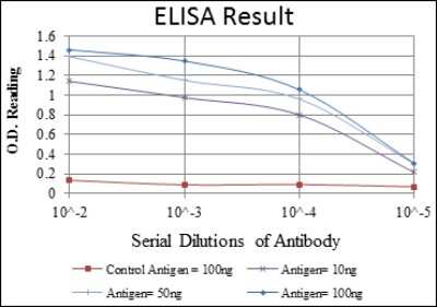 ELISA: Endoglin/CD105 Antibody (3A9) - BSA Free [NBP2-22122]