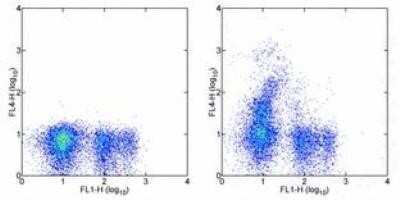 Flow Cytometry: CD117/c-kit Antibody (ACK2) - BSA Free [NBP1-43359]