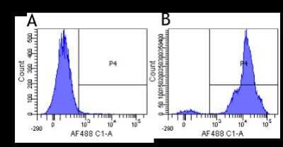 Flow Cytometry: CD11a/CD18 Antibody (hu1124 (Efalizumab)) - Chimeric - Azide and BSA Free [NBP2-52686]